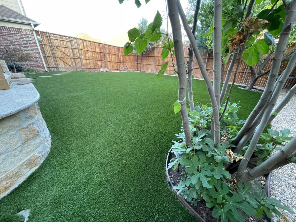 artificial turf texas