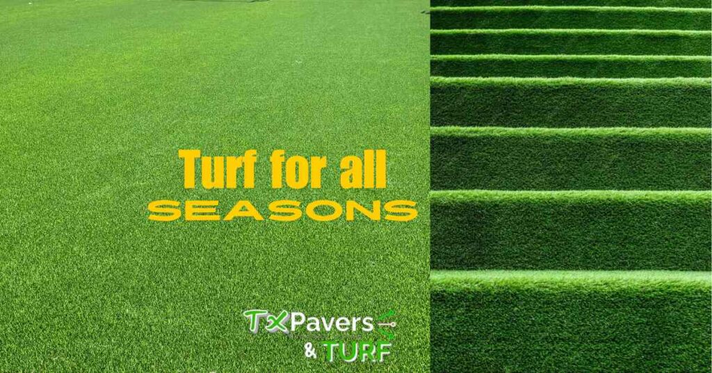 all seasons turf grass