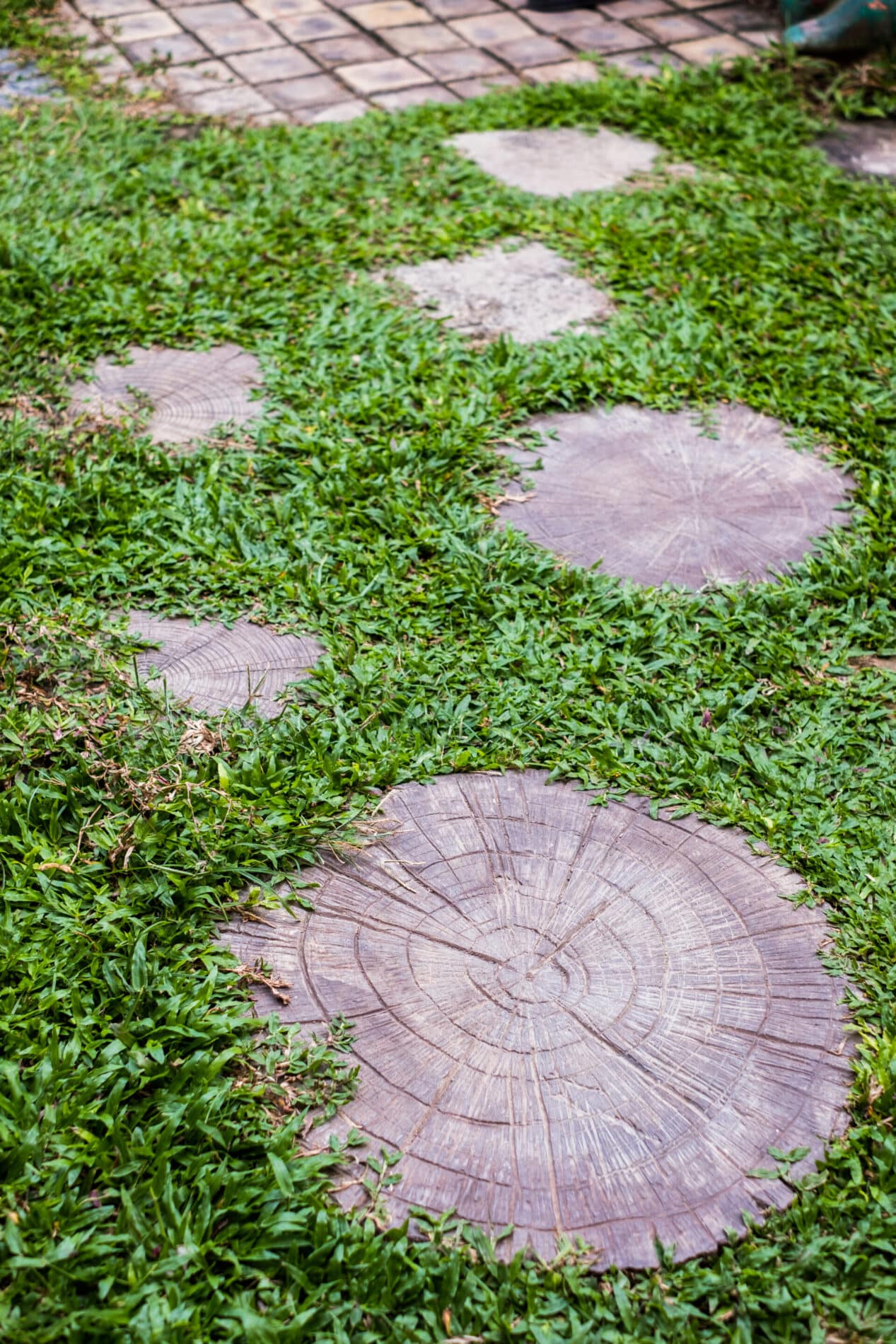 round stone walkway decoration in lawn 2025 04 02 12 28 11 utc scaled