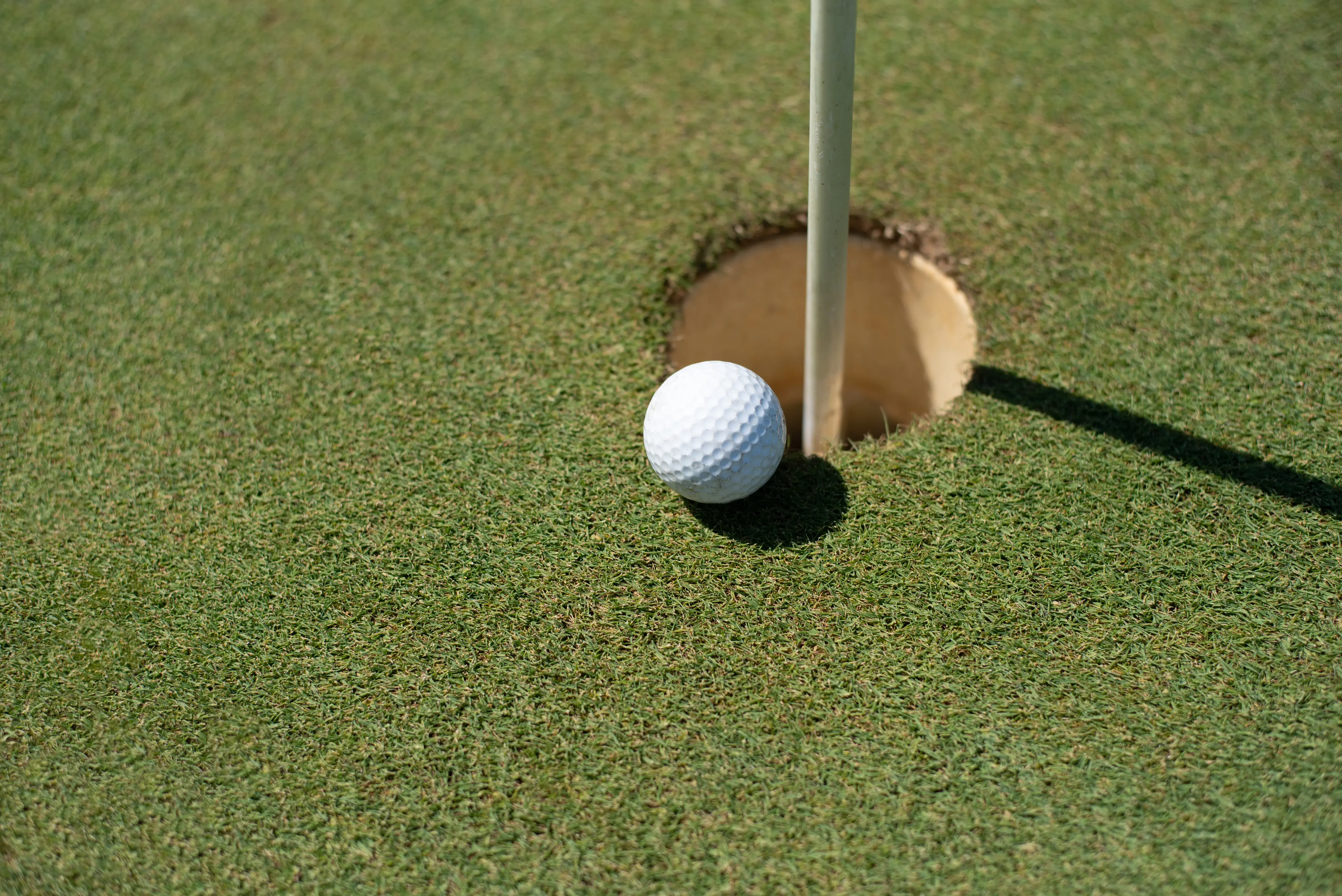 How to Install Putting Turf: Create a Backyard Golf Space You Will Love 2 How to install putting turf
