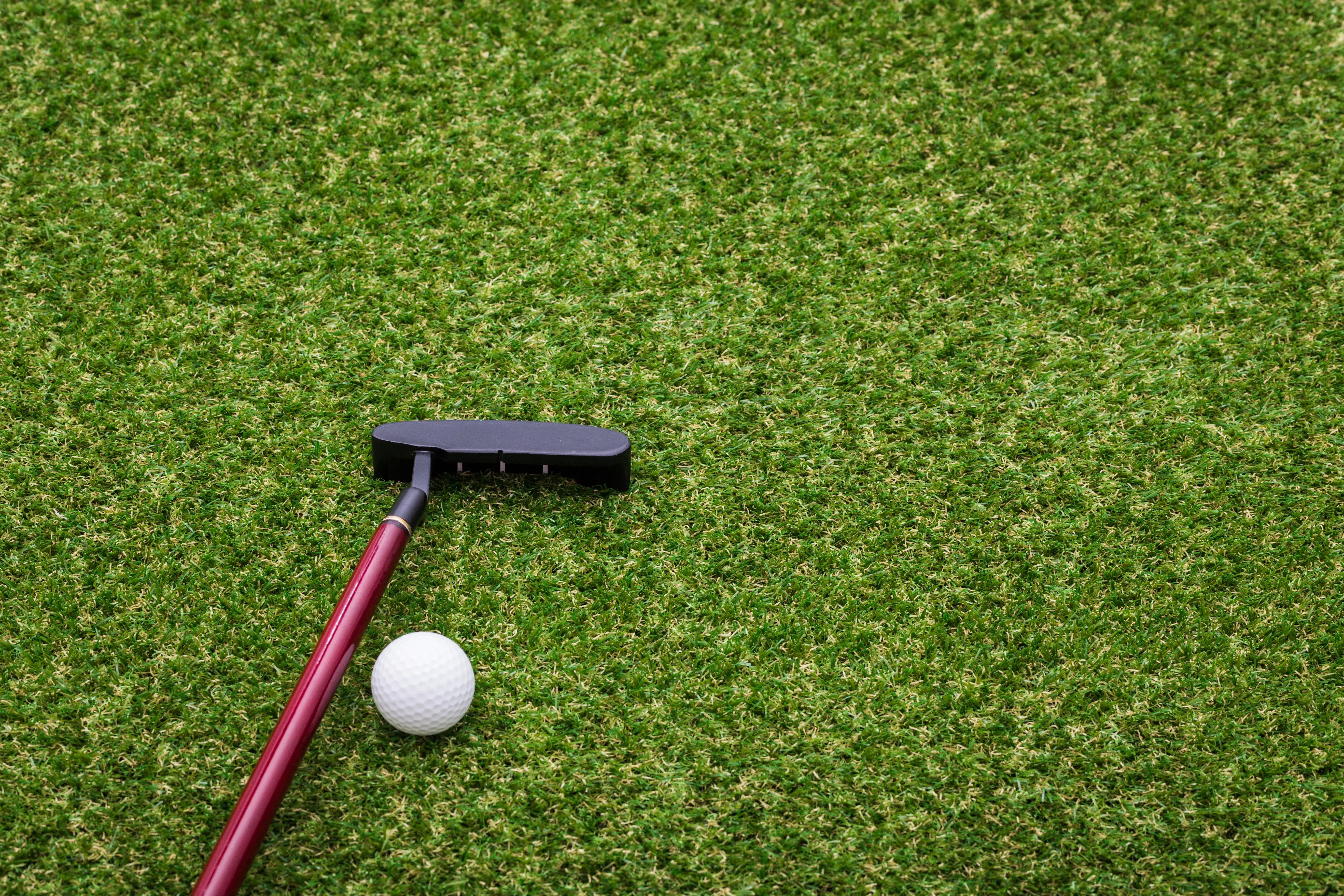 How to Install Putting Turf: Create a Backyard Golf Space You Will Love 1 How to install putting turf