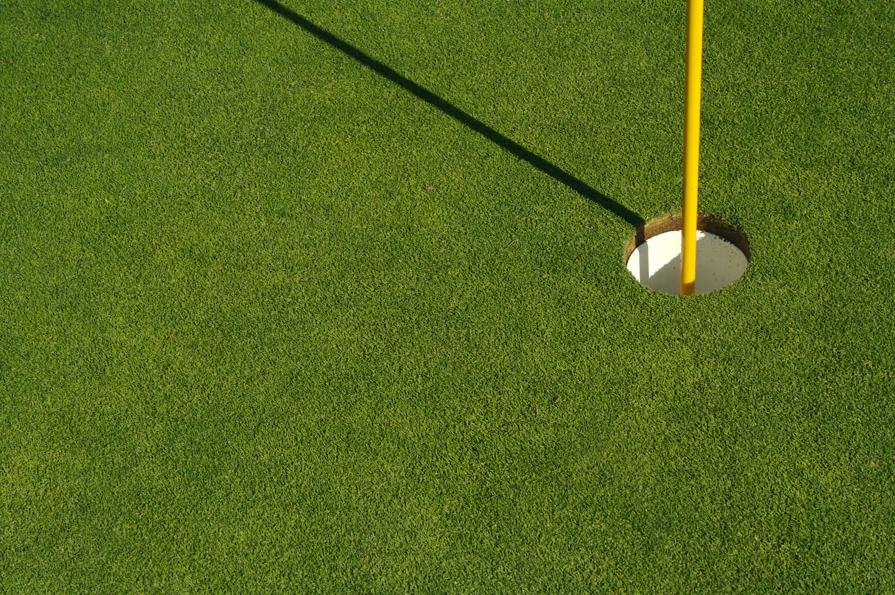 Where to Find Affordable Putting Turf Installation Services: Smart Ways to Save Without Sacrificing Quality 2 Where to Find Affordable Putting Turf Installation Services